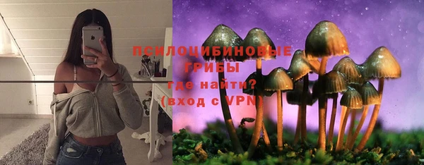 jwh Снежногорск